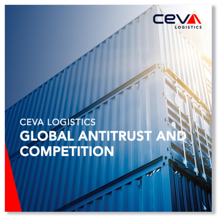 Global Antitrust and Competition Policy